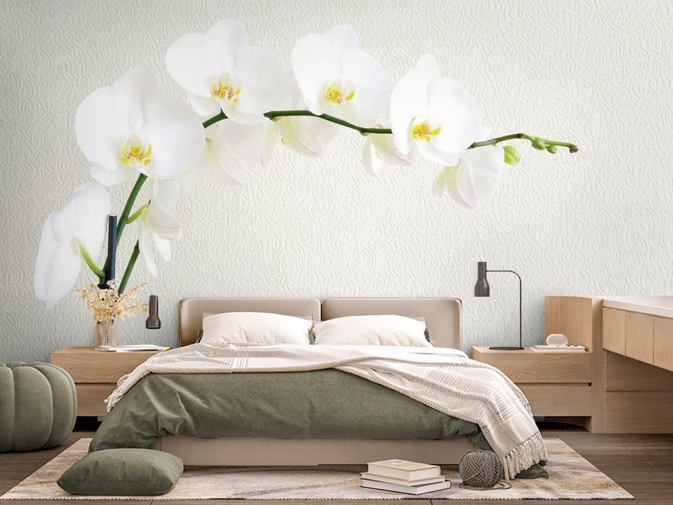 Fototapeta przedstawiająca białe kwiaty orchidei na zielonej łodydze z jasnym tłem - jasna sypialnia z dużym łóżkiem małżeńskim