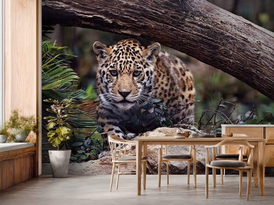 Fototapeta przedstawiająca jaguara w naturalnym otoczeniu z drzewem i liśćmi - inspiracja do strefy jadalnianej w kuchni