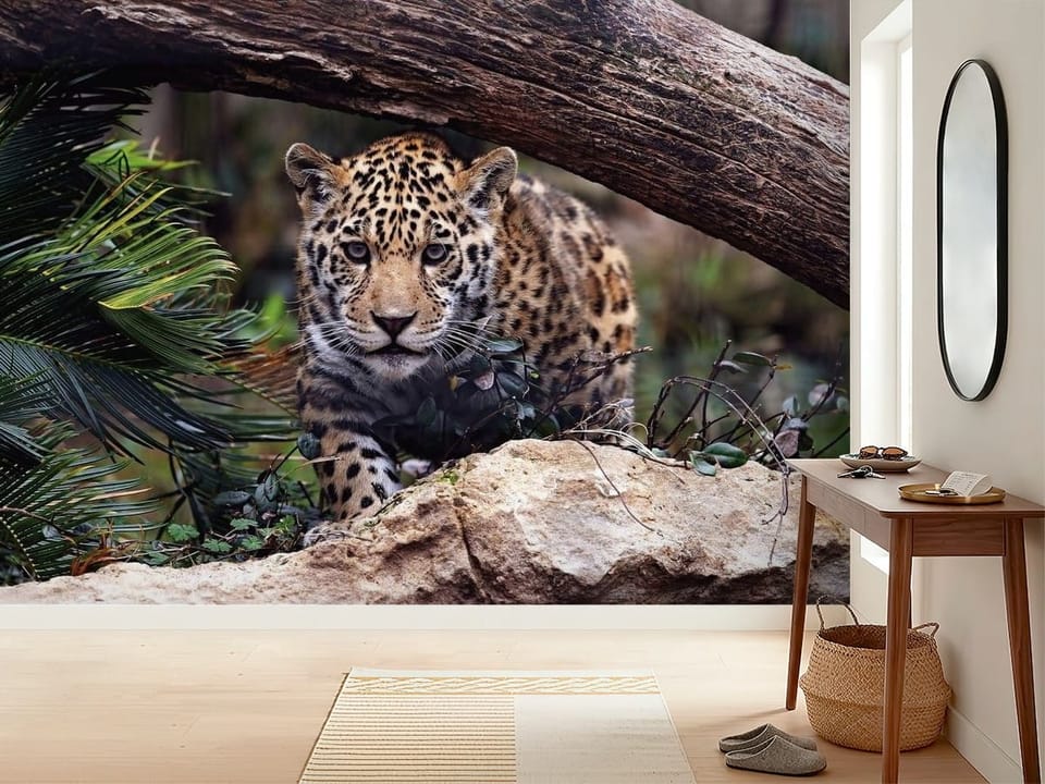 Fototapeta przedstawiająca jaguara w naturalnym otoczeniu z drzewem i liśćmi - inspiracji do minimalistycznego przedpokoju
