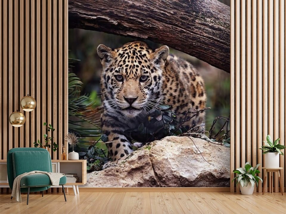 Fototapeta przedstawiająca jaguara w naturalnym otoczeniu z drzewem i liśćmi - aranżacja w przedpokoju w połączeniu z lamelami ściennymi