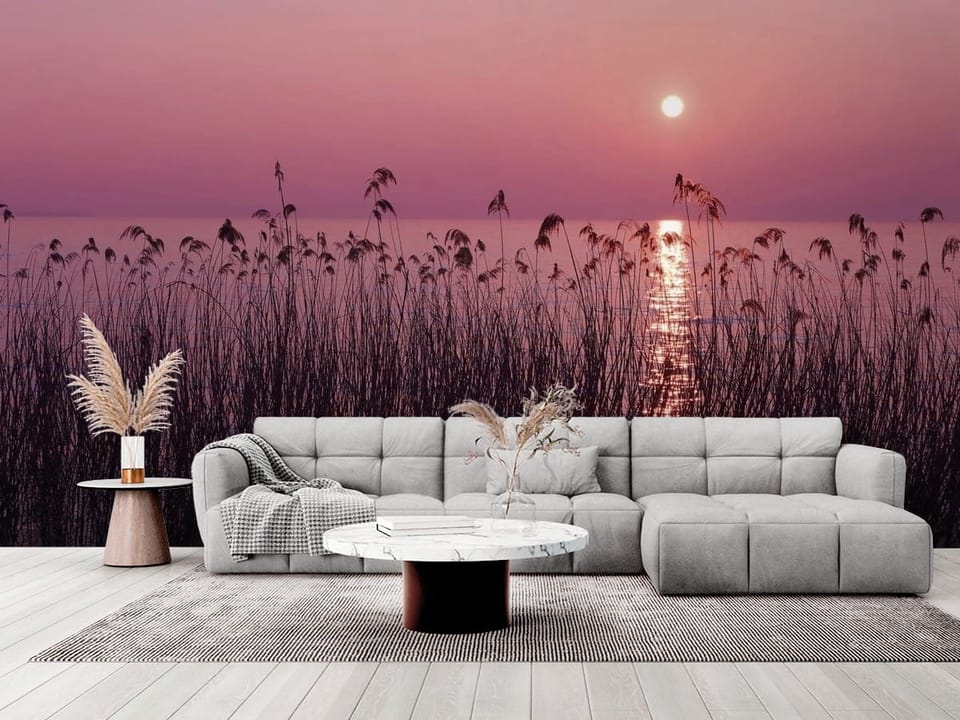 Fototapeta przedstawiająca trzciny nad wodą przy zachodzie słońca, z różowym niebem - elegancki salon w stylu minimalistycznym
