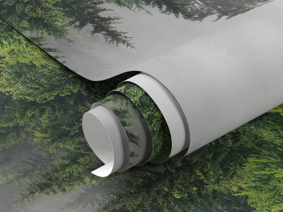 Fototapeta Mglisty las iglasty fragment #1