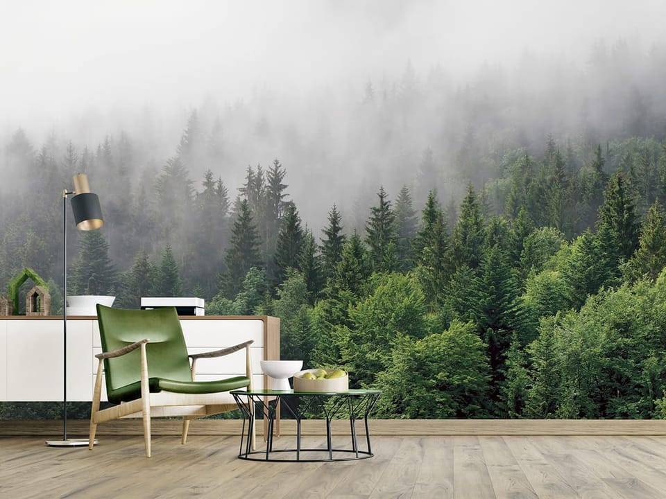 Fototapeta Mglisty las iglasty we wnętrzu salonu