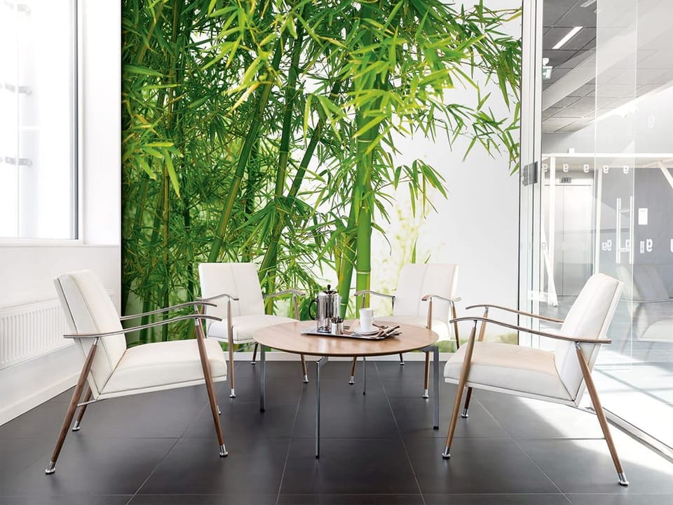 Fototapeta Zielony las bambusowy we wnętrzu biura