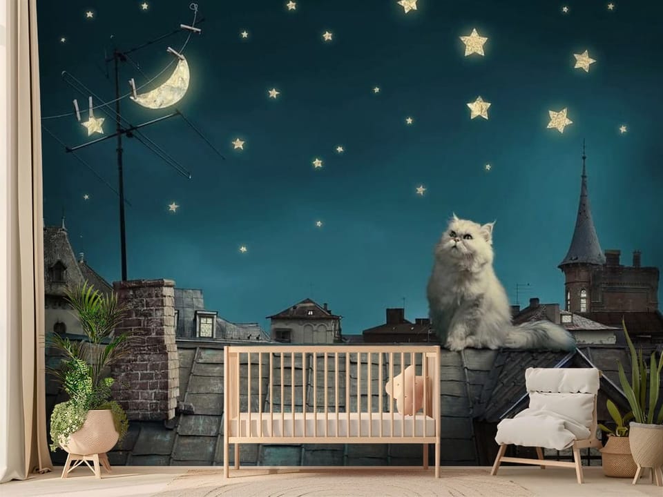 Fototapeta z kotem na dachu, gwiazdami i księżycem na nocnym niebie - nasłoneczniony pokój dziecięcy