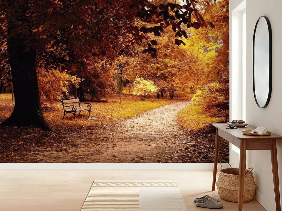 Fototapeta przedstawiająca parkową ścieżkę w jesiennym lesie z ławką i kolorowymi liśćmi - inspiracji do minimalistycznego przedpokoju