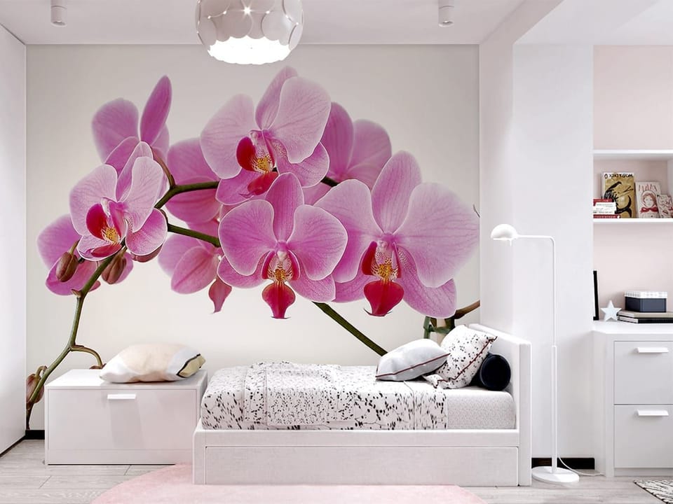 Fototapeta Różowe storczyki na gałązce we wnętrzu pokoju nastolatka