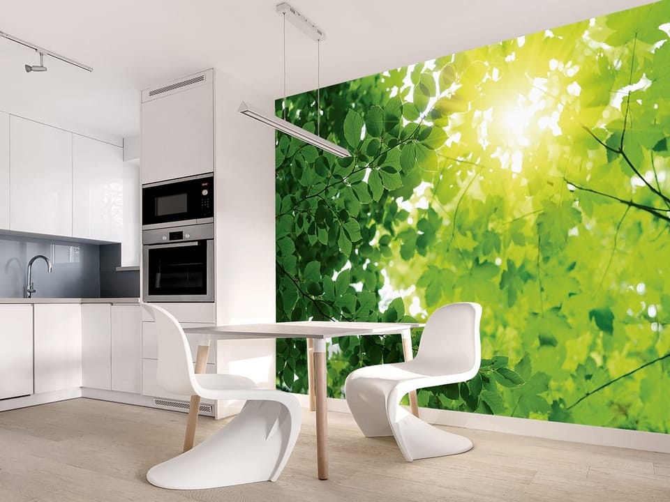 Fototapeta Las o świcie z zielonymi liśćmi we wnętrzu kuchni