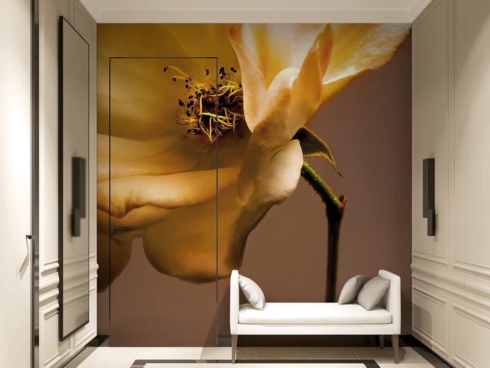 Fototapeta Żółta róża z bliska we wnętrzu przedpokoju