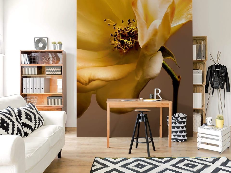 Fototapeta Żółta róża z bliska we wnętrzu salonu