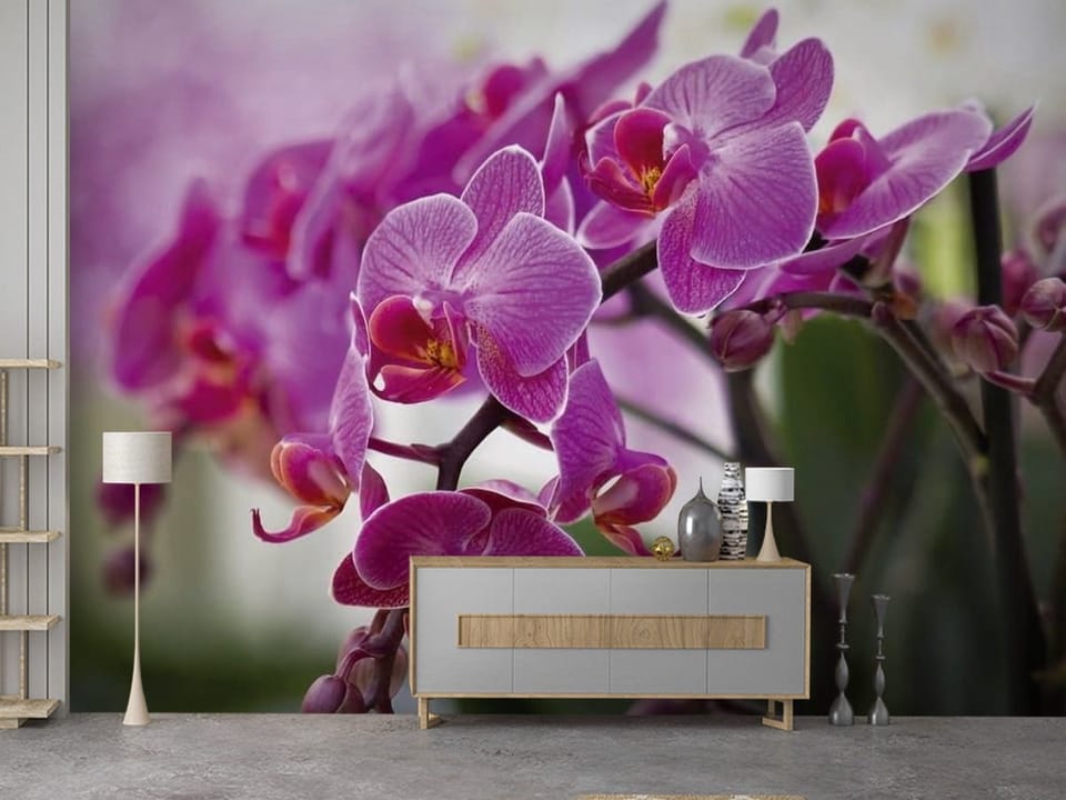 Fototapeta z fioletowymi kwiatami orchidei na delikatnych łodygach i zielonym tle - przedpokój w bloku z pomysłowym wnętrzem