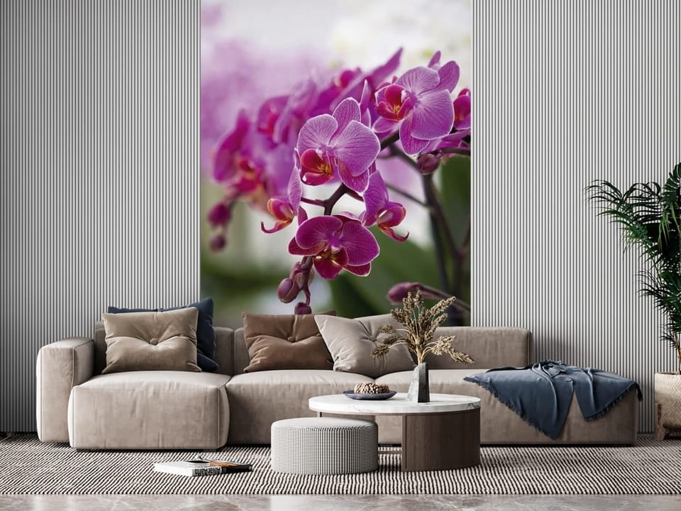 Fototapeta z fioletowymi kwiatami orchidei na delikatnych łodygach i zielonym tle - inspiracja do pięknego salonu