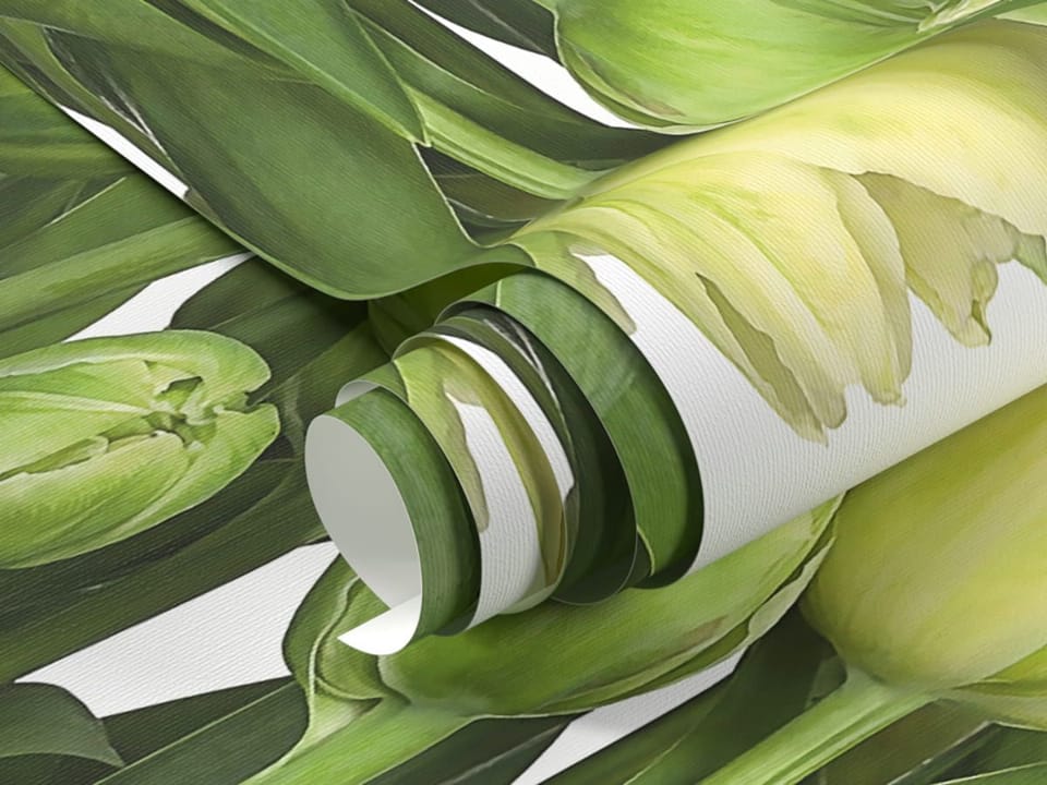 Fototapeta Żółte tulipany na białym tle fragment #1