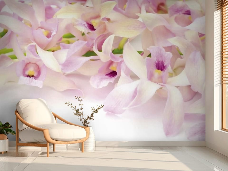 Fototapeta z jasnoróżowymi kwiatami orchidei na jasnym tle - aranżacja przytulnego przedpokoju