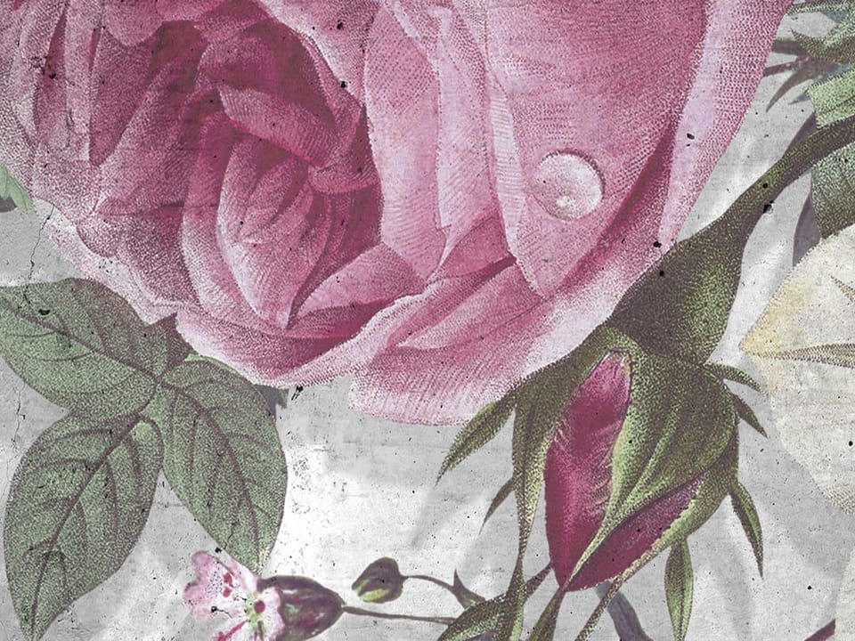 Fototapeta Egzotyczne kwiaty na betonie fragment #1