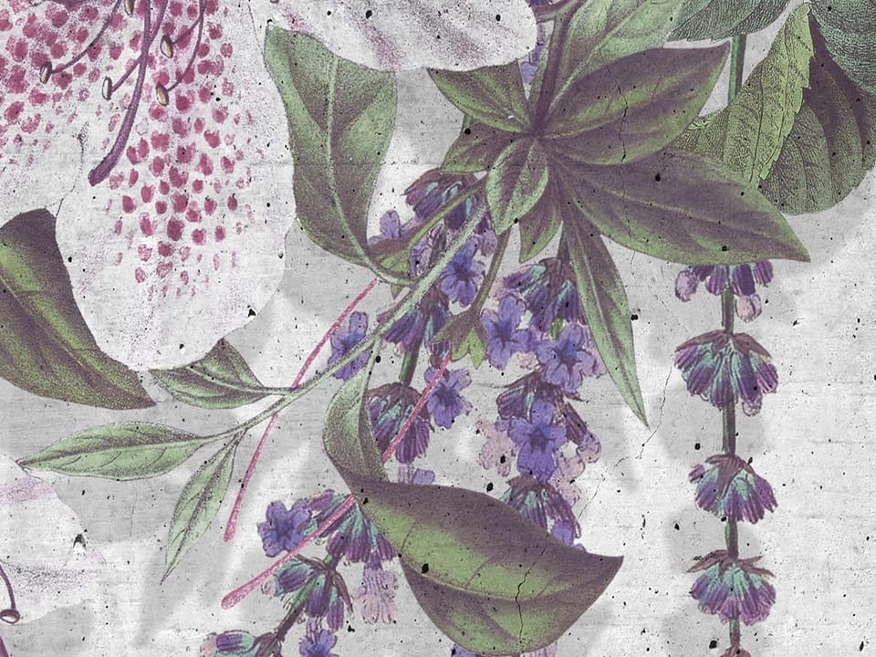 Fototapeta Egzotyczne kwiaty na betonie fragment #2