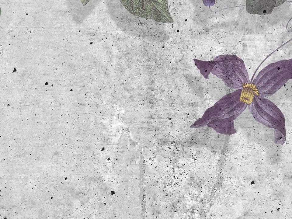 Fototapeta Egzotyczne kwiaty na betonie fragment #3