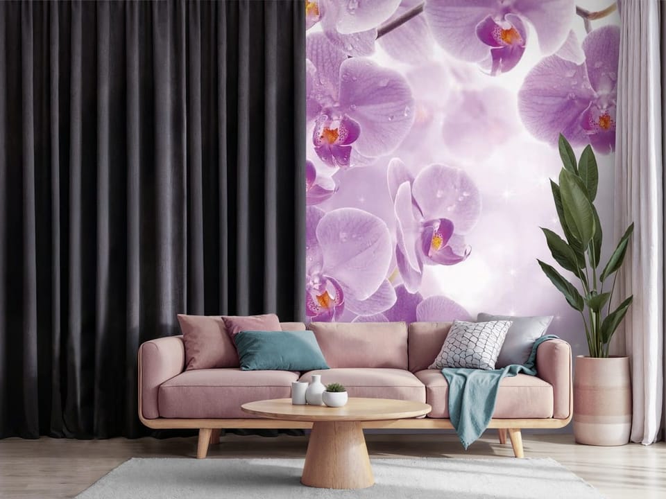 Fototapeta z fioletowymi orchideami pokrytymi kroplami wody na jasnym tle - nowoczesna inspiracja do salonu