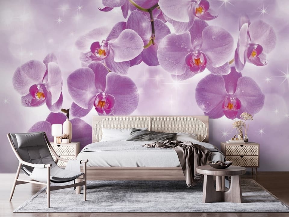 Fototapeta przedstawiająca fioletowe kwiaty orchidei na gałęzi z jasnym tłem - nowoczesna ściana w nasłonecznionej sypialni