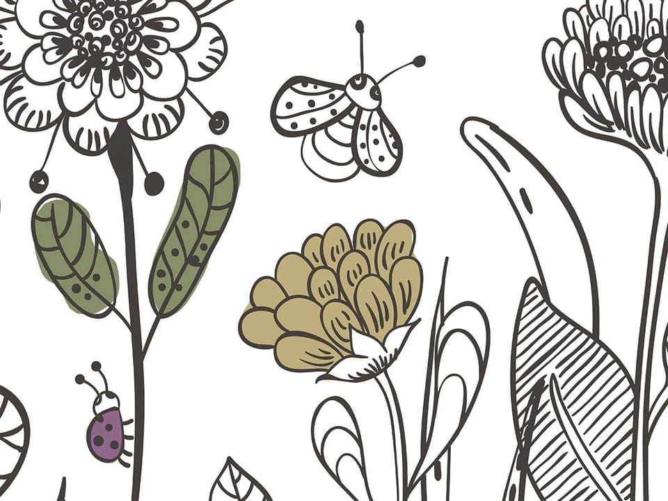 Fototapeta Kwiaty polne na białym tle fragment #1