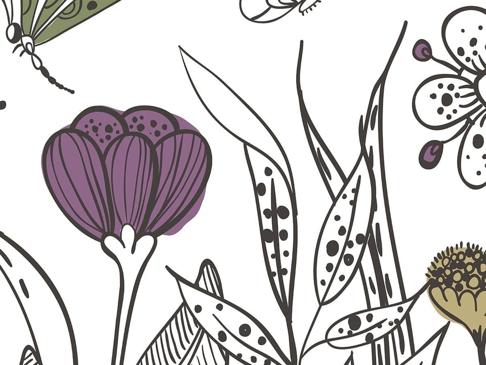 Fototapeta Kwiaty polne na białym tle fragment #2