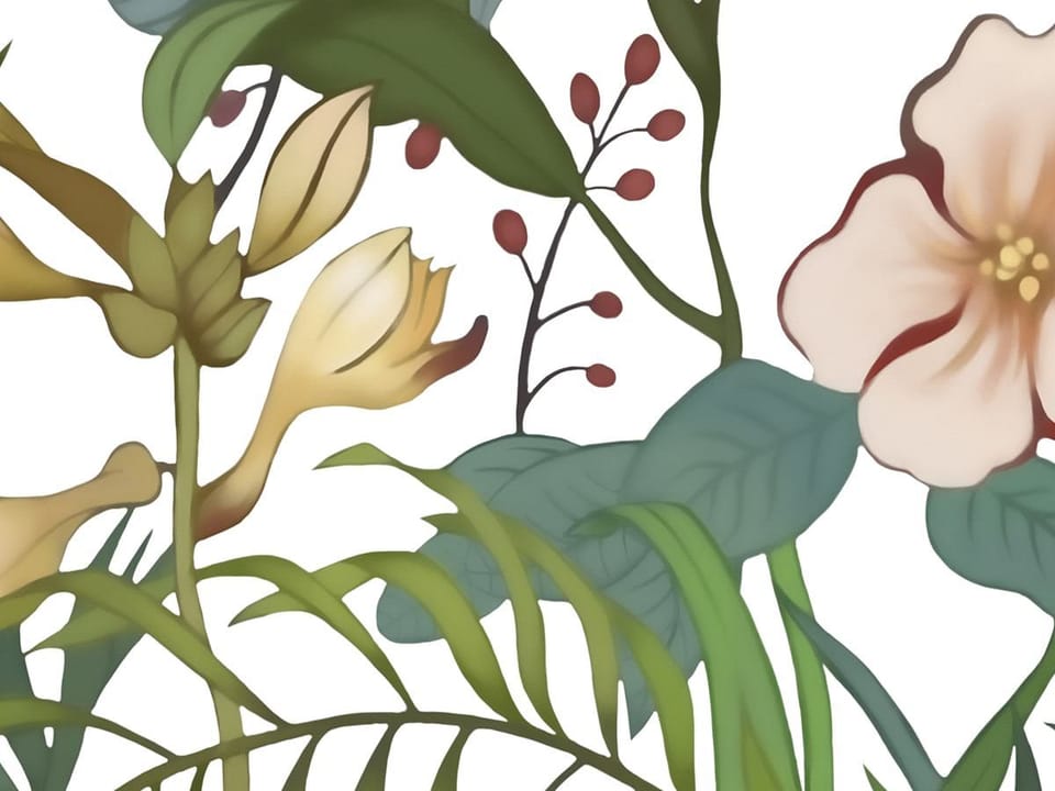 Fototapeta Kolorowe kwiaty na białym tle fragment #1