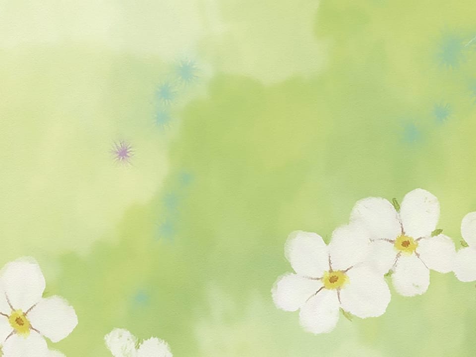 Fototapeta Białe kwiaty na zielonym tle fragment #2