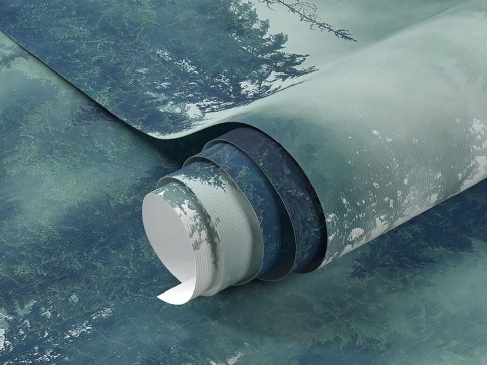 Fototapeta Mglisty las iglasty fragment #1