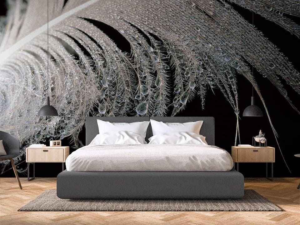 Fototapeta Pióro z kroplami wody we wnętrzu sypialni