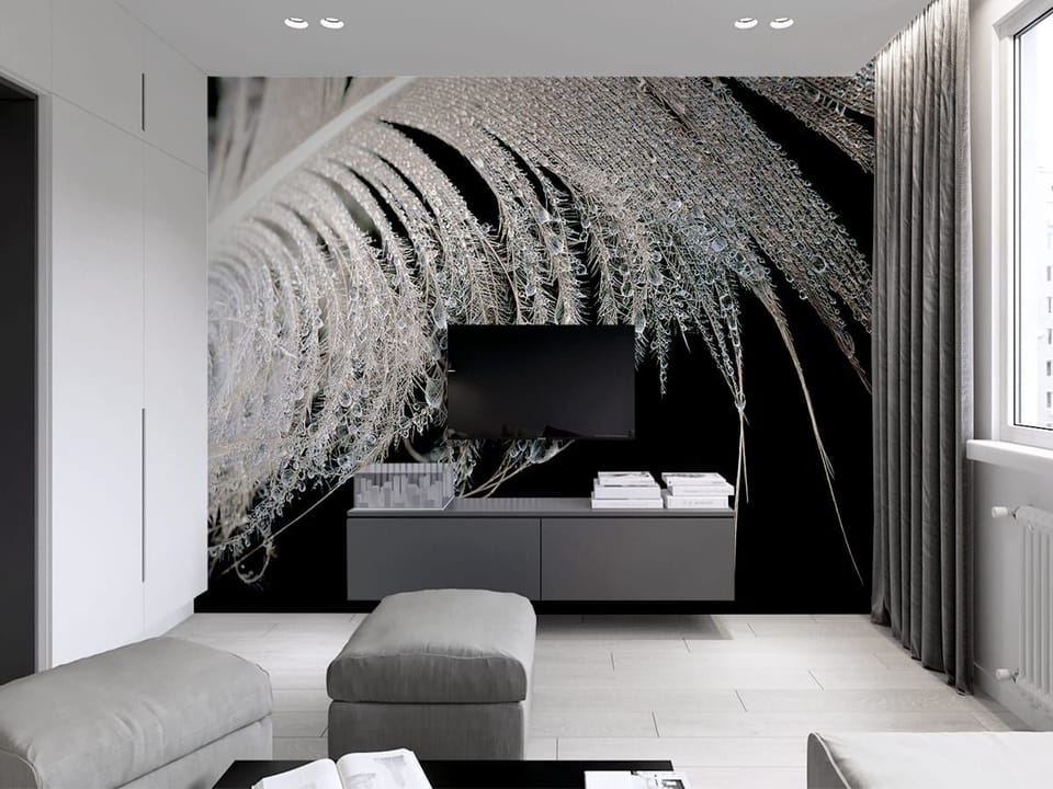 Fototapeta Pióro z kroplami wody we wnętrzu salonu