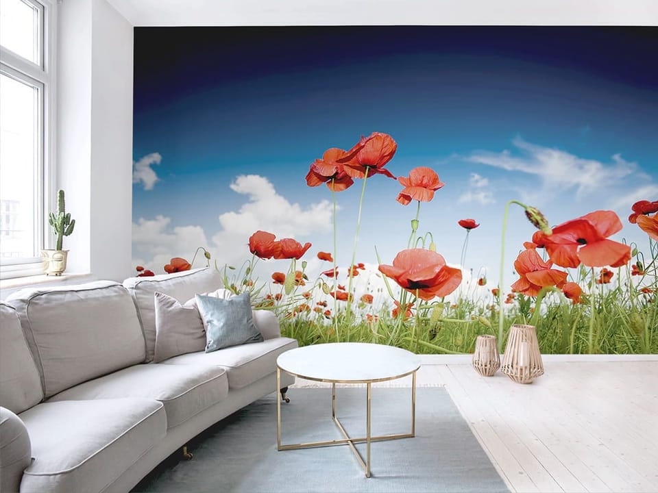 Fototapeta Czerwone maki na letniej łące we wnętrzu salonu
