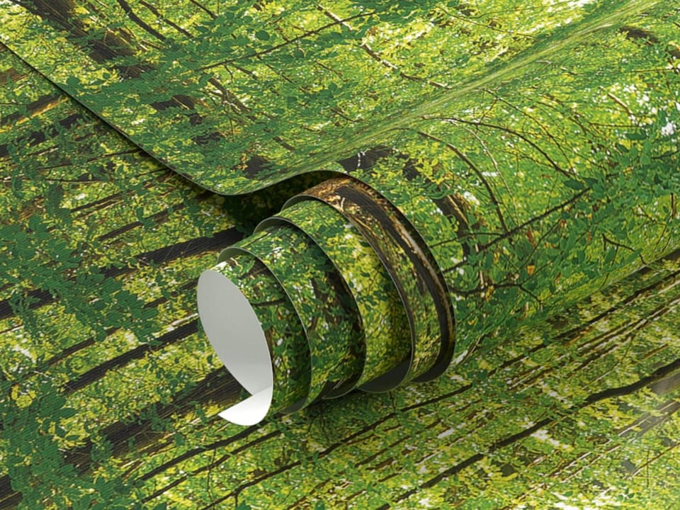 Fototapeta Las o świcie z promieniami słońca - realne zdjęcie w rolce