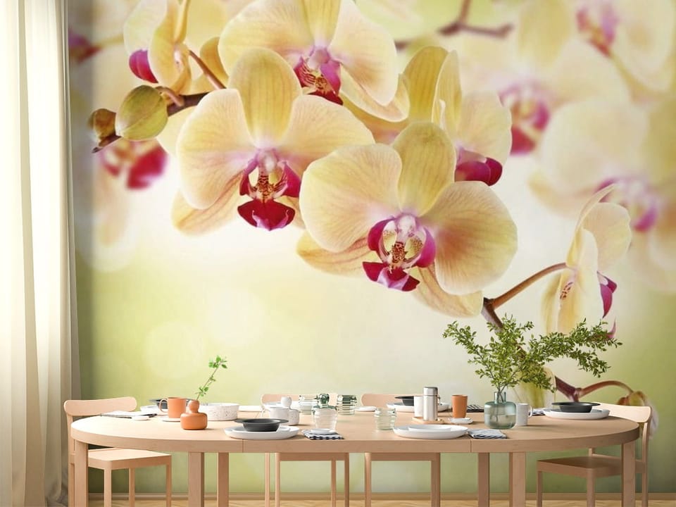 Fototapeta z gałęzią orchidei w pastelowych kolorach na rozmytym tle - pomysłowa aranżacja strefy jadalnianej w kuchni