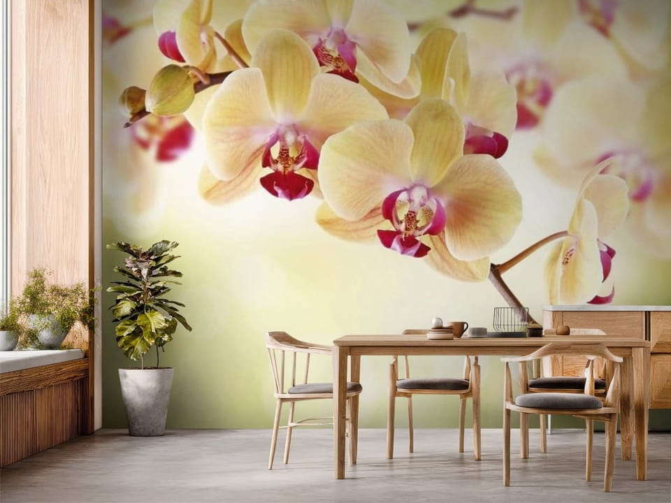 Fototapeta z gałęzią orchidei w pastelowych kolorach na rozmytym tle - inspiracja do strefy jadalnianej w kuchni