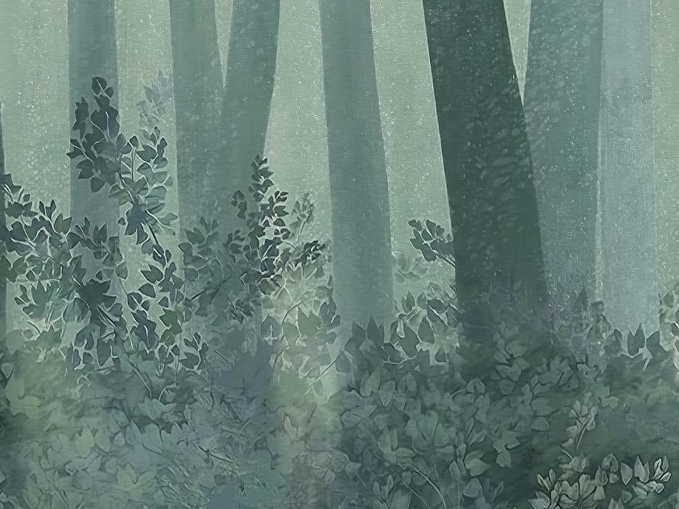 Fototapeta Wysokie drzewa w lesie fragment #1