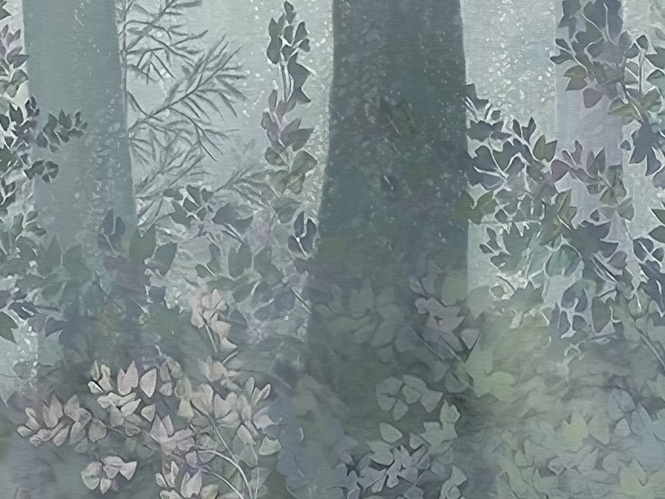 Fototapeta Wysokie drzewa w lesie z mgłą fragment #1