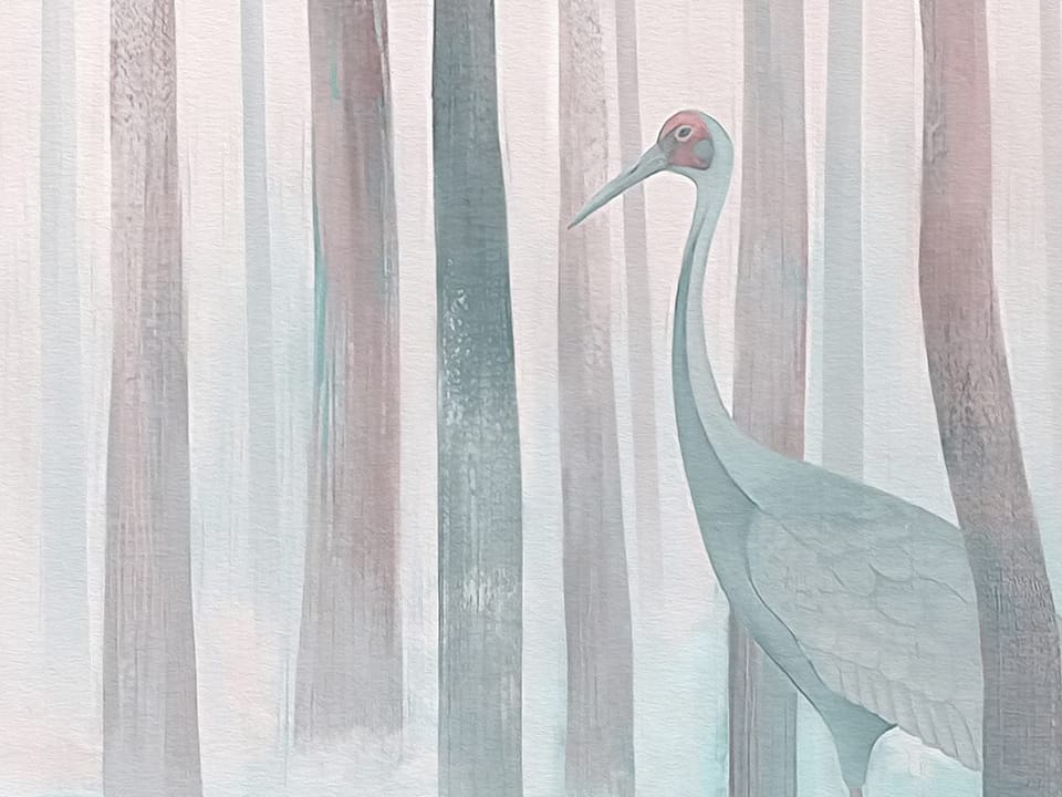 Fototapeta Las z Wysokimi Drzewami i Mgłą fragment #2