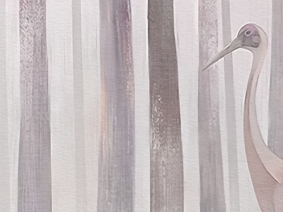 Fototapeta Las z wysokimi drzewami i mgłą fragment #1