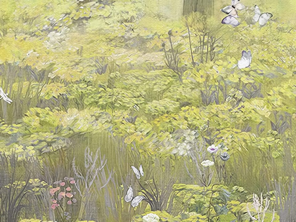 Fototapeta Leśna mgła i wysokie drzewa fragment #2