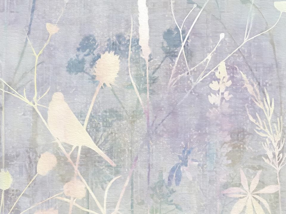 Fototapeta Delikatne kwiaty na łące fragment #1