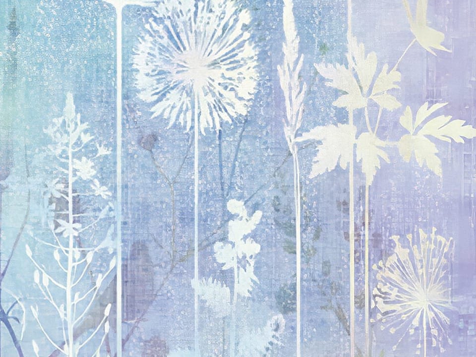 Fototapeta Delikatne kwiaty na łące fragment #1