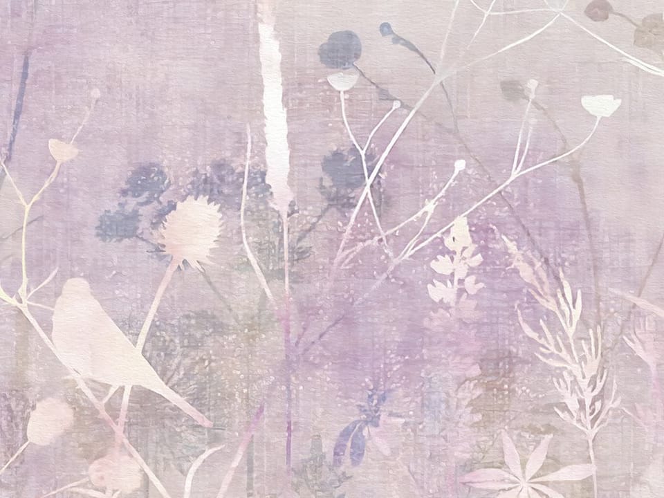 Fototapeta Delikatne kwiaty polne fragment #1