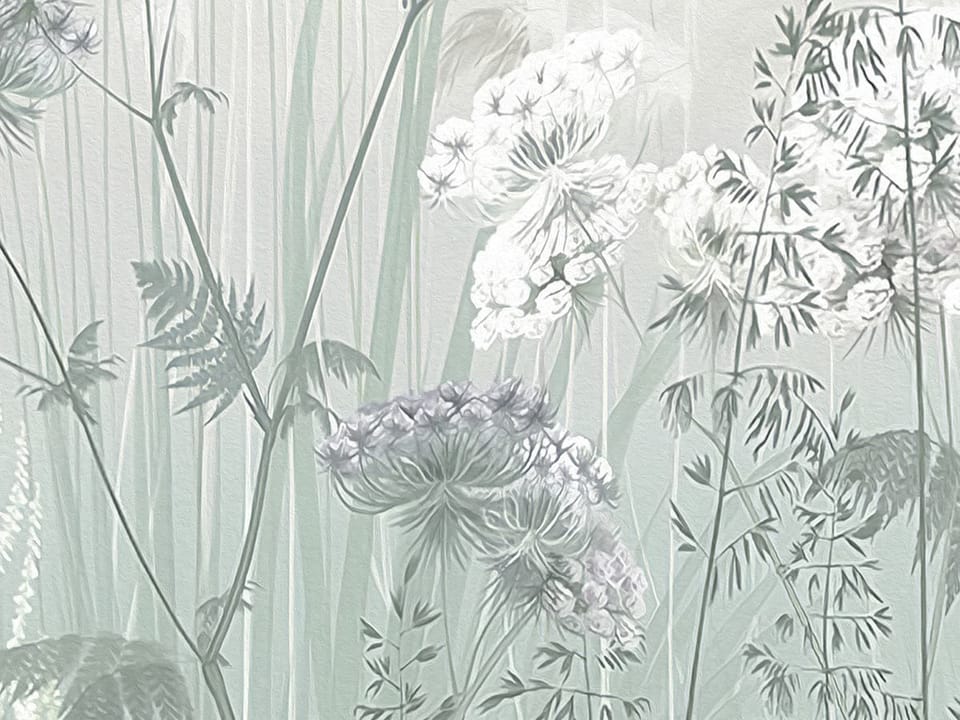 Fototapeta Polne kwiaty i trawy fragment #1