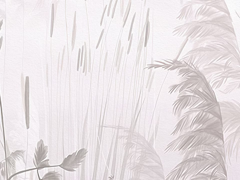 Fototapeta Kwiaty polne i trawy fragment #2