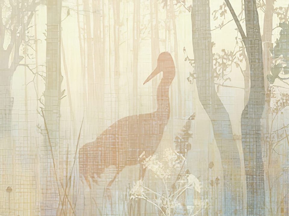 Fototapeta Drzewa w Mglistym Lesie fragment #1