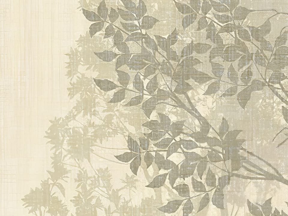 Fototapeta Drzewa w Mglistym Lesie fragment #2