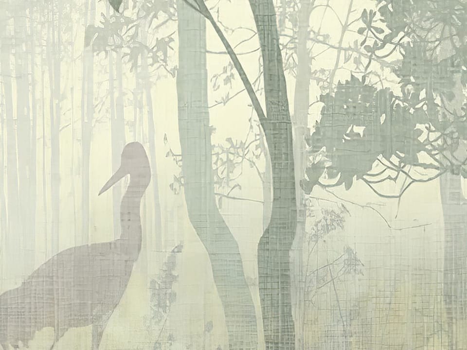 Fototapeta Mglisty Las z Wysokimi Drzewami fragment #2