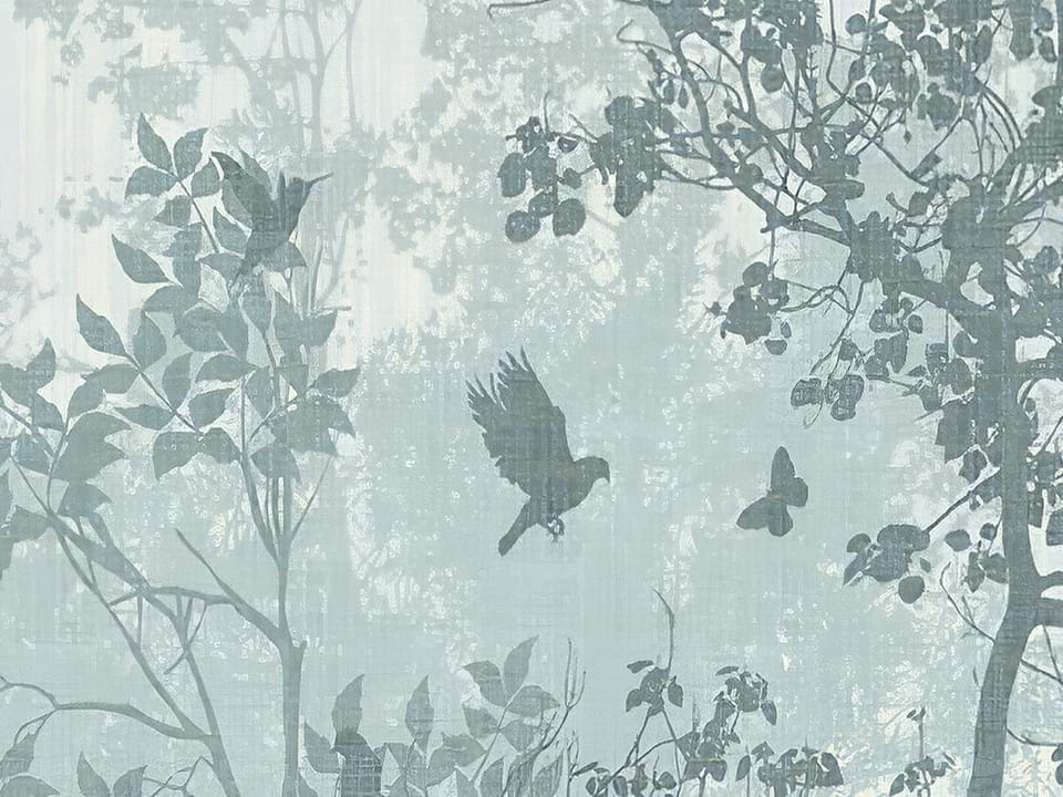 Fototapeta Mglisty las z wysokimi drzewami fragment #2