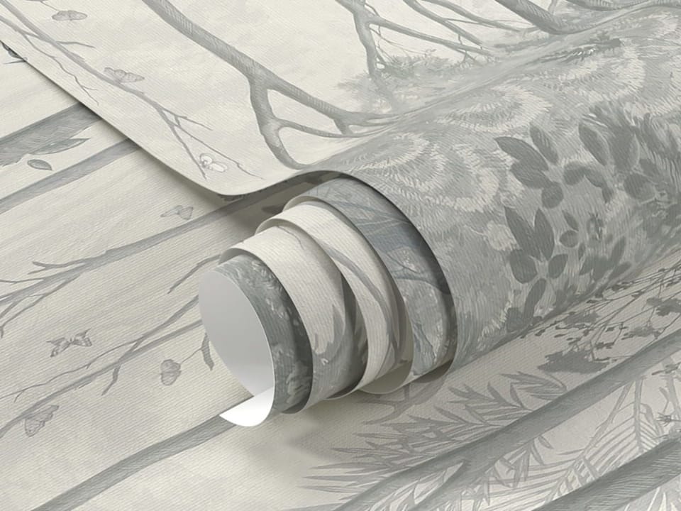 Fototapeta Gęsty las z wysokimi drzewami fragment #1