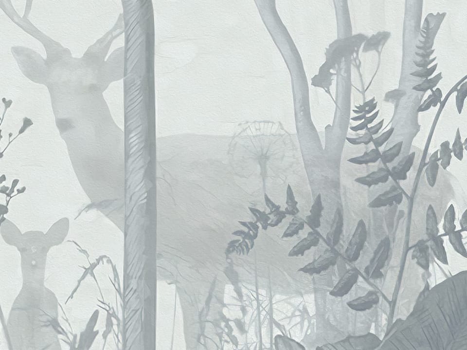 Fototapeta Las z mglistą atmosferą fragment #1